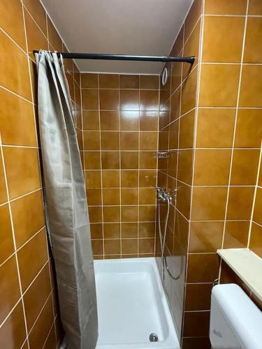 ein Bad mit einer Dusche, einer Badewanne und einem WC in der Unterkunft Renewed one bedroom apartment on a good location in Ljubljana