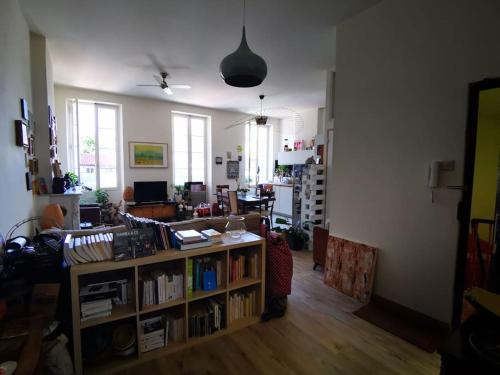 un salon avec une étagère remplie de livres dans l'établissement Marseille appartement spacieux et lumineux, à Marseille