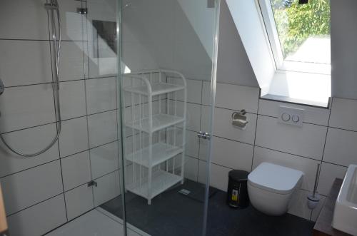 a bathroom with a shower and a toilet and a window at Ferienwohnungen am Schambacher Weg in Riedenburg