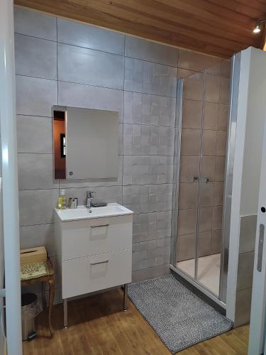 une salle de bain avec un lavabo et une douche dans l'établissement Moulin de Pisseloube, à Montchaude
