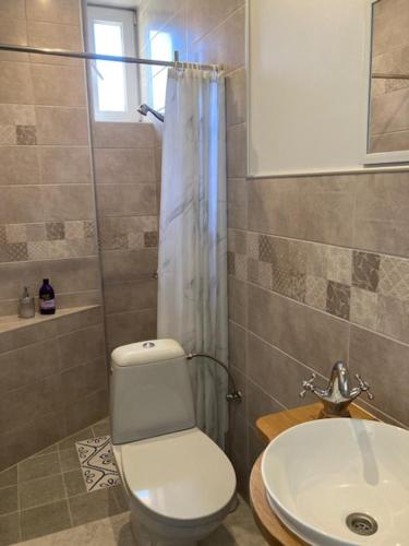 a bathroom with a toilet and a sink at Lahe koht in Haapsalu