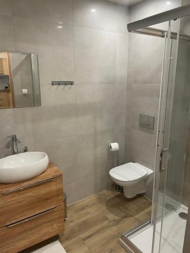 a bathroom with a toilet and a sink and a shower at Apartamenty Aleksandra in Biały Dunajec