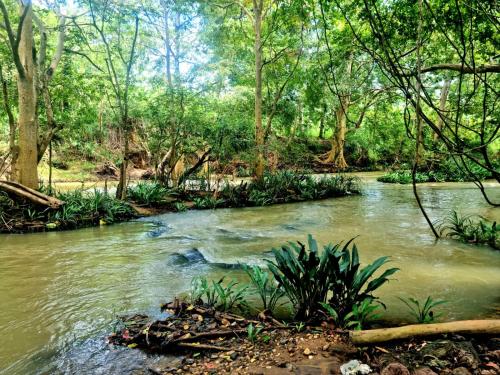 Landskap semula jadi dekat dengan rumah percutian