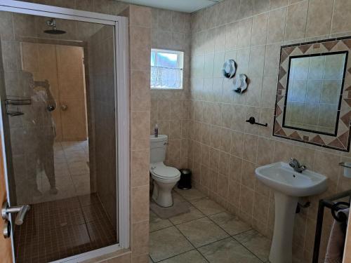 Vryburg的住宿－Villa Lin-Zane，带淋浴、卫生间和盥洗盆的浴室