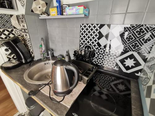 蓬圖瓦茲的住宿－LE COSY - Appartement Pontoise Cosy Calme，厨房柜台设有水槽和锅