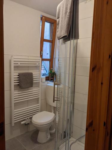 uma casa de banho com um WC e uma cabina de duche em vidro. em Apartments in Schwabacher Innenstadt em Schwabach