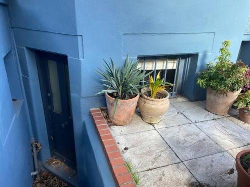 a group of potted plants sitting on the side of a building at Cute basement studio in London