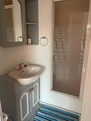 uma casa de banho com um lavatório e um chuveiro em Farm stay property Pets and families welcome em Rossnowlagh