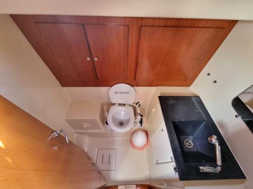a small bathroom with a toilet and a sink at Sail boat ANIMATO in Izola