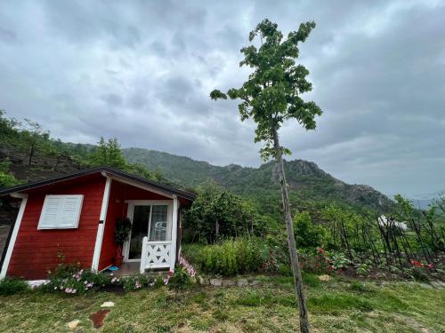 a small red house with a tree in front of it at Baven -Toven Naturae in Rubik