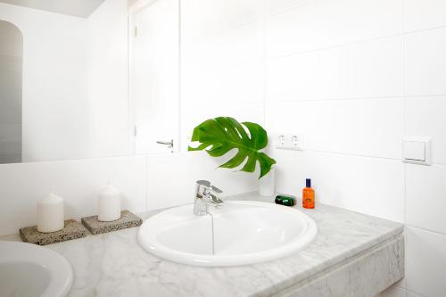 baño blanco con lavabo y planta en Apartamentos El Guarapo, en Costa Teguise