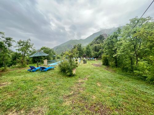 a field with picnic tables and an umbrella at Baven -Toven Naturae in Rubik