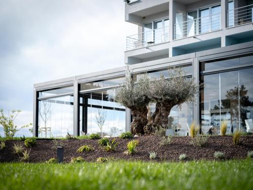 an office building with a tree in front of it at Hotel Villa Rosetta in Savudrija