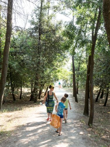 Gallery image of Park Hotel Pineta in Cervia