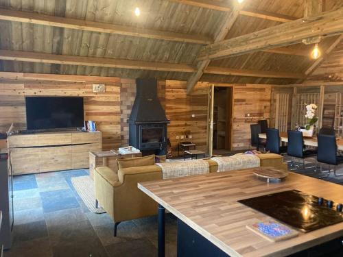 a living room with a couch and a fireplace at Le Chalet du Renard in Le Tampon