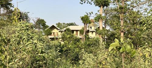 Jardin de l'établissement River View Jungle Camp