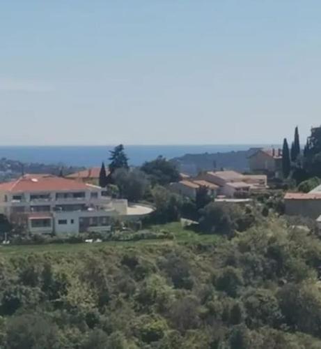 Maison traditionnelle sur les collines Niçoises photo 32