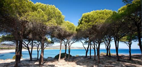 Appartamento Shardana – Photos 3