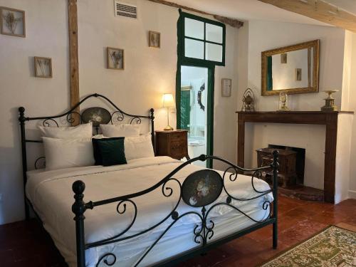a bedroom with a bed with a fireplace and a mirror at Maison Riquet in Castelnaudary