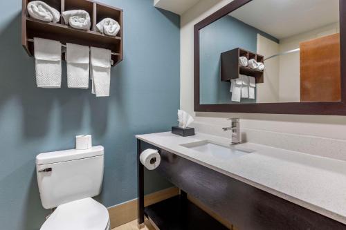 a bathroom with a toilet and a sink with a mirror at Sleep Inn & Suites Augusta West Near Fort Eisenhower in Grovetown