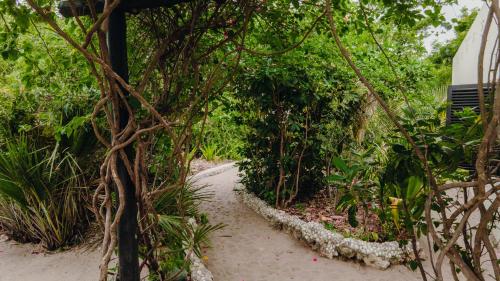 a dirt road through a forest with trees at The Slow Leopard Kilwa in Kilwa Masoko