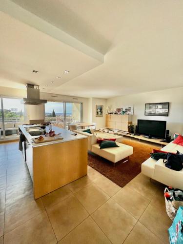 Antibes Maeva sea view swimming pool air conditioning and parking