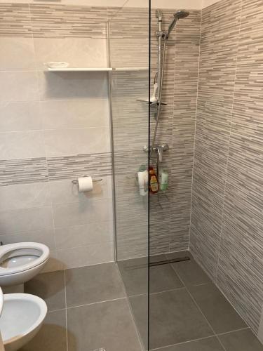 a bathroom with a shower and a toilet at LA CASETTA in puglia in Montalbano