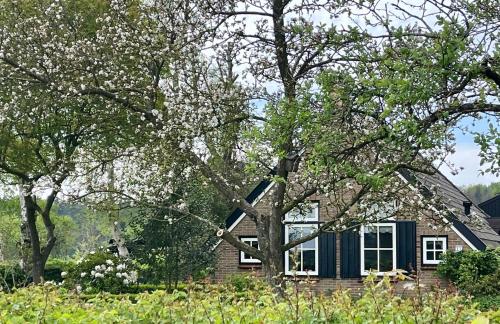 a house with a blue roof and trees at Natuurhuisje OosterEese in Eesveen