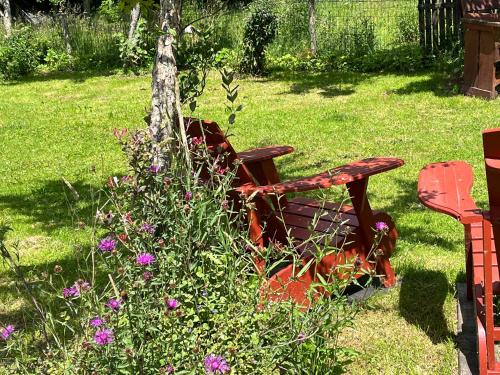 a red bench sitting in the grass next to a tree at Natuurhuisje OosterEese in Eesveen