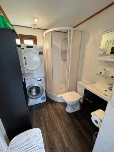 a small bathroom with a shower and a toilet at Chalet 58 ''Pollie'' in Hattemerbroek