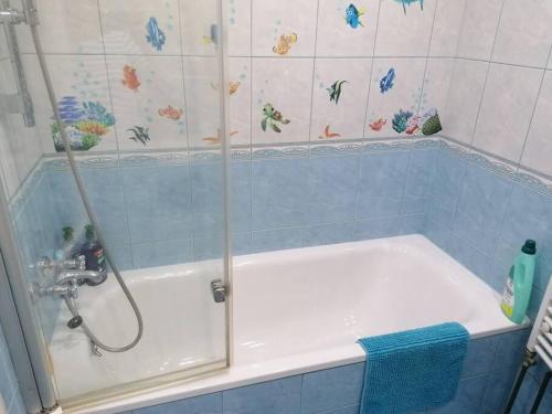 a bath tub with a shower in a bathroom at Rodinný půldomek s vybavením a bazenem in Zruč nad Sázavou