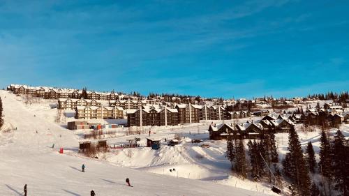 uma estância de esqui com pessoas a esquiar numa pista coberta de neve em Sadelbyn Fjällhem em Åre