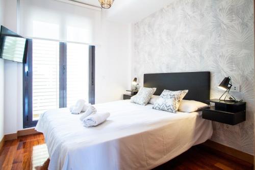 Apartamentos Castilla Luz Business