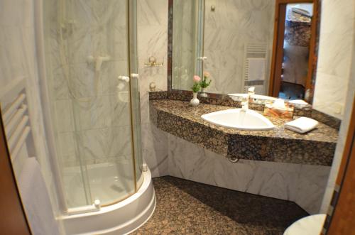 a bathroom with a sink and a shower at Hotel Fürstenhof in Rathenow