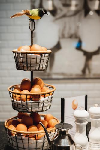 a bird perched on top of two baskets of oranges at Van der Valk Hotel Saint-Aygulf in Saint-Aygulf