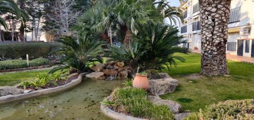 a garden with palm trees and a pond at Apartamento Calella Home in Calella de Palafrugell