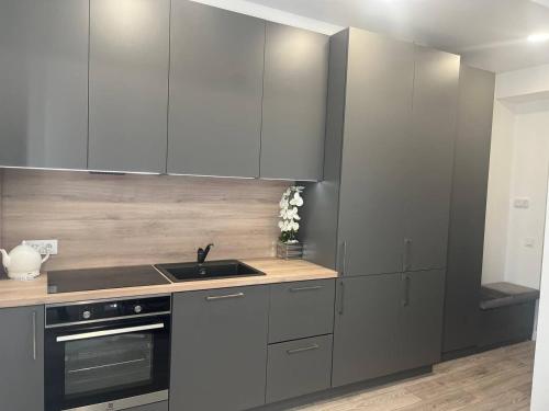 a kitchen with stainless steel cabinets and a sink at Apartamentai Sandra in Klaipėda