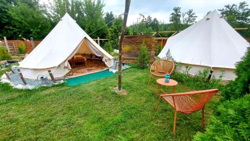 Gallery image of Dream Glamping-Wakacyjna Wioska-Namioty z ogrzewaniem in Bałtów