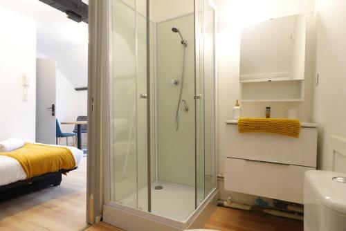 La salle de bains est pourvue d'une douche avec une porte en verre. dans l'établissement Studio - Centre - Fac de Science, à Lens