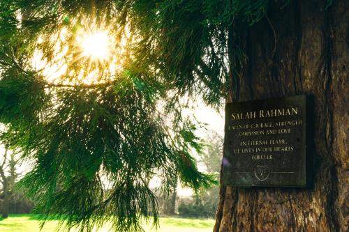 a sign on a tree next to a tree at The Manor at Bickley in Bromley