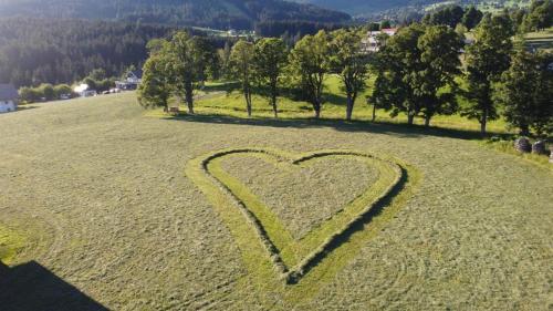 a heart drawn in a field of grass at Appartements Blumenwiese in Ramsau am Dachstein