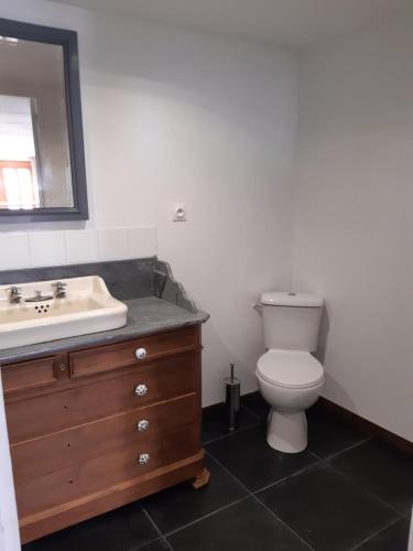a bathroom with a sink and a toilet and a mirror at Studio à Ban de Sapt in Ban-de-Sapt