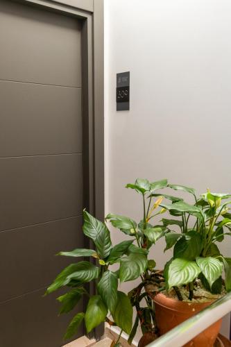 Φωτογραφία από το άλμπουμ του Galley Hotel στην Κωνσταντινούπολη