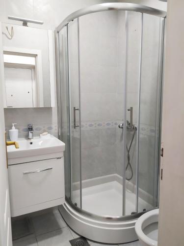 W łazience znajduje się prysznic i umywalka. w obiekcie Studio Petlja - Igalo w mieście Herceg Novi