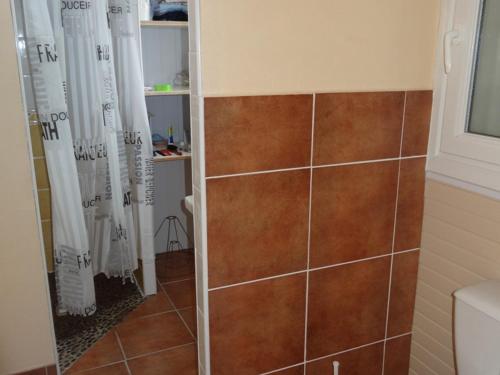 y baño con ducha y azulejos marrones. en Maison L'Aiguillon-sur-Mer, 3 pièces, 4 personnes - FR-1-476-11, en LʼAiguillon-sur-Mer