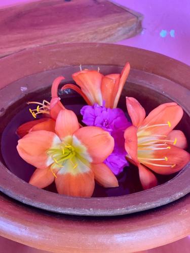 a bowl of flowers in a bowl of water at Sincere Wilderness Home stay in Nuwara Eliya