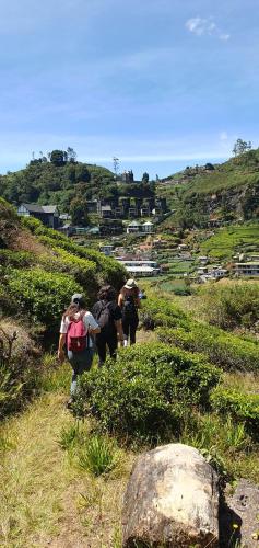 a group of people walking down a hill at Sincere Wilderness Home stay in Nuwara Eliya
