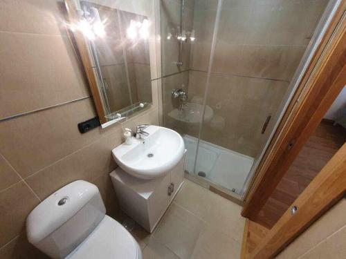 uma casa de banho com um WC, um chuveiro e um lavatório. em Apartamento Playa Jardín em Ribeira
