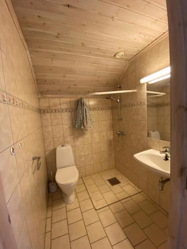 y baño con aseo y lavamanos. en Bergland apartment 28 - close to the center of Kragerø, en Kragerø