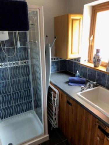 a bathroom with a shower and a sink at Nant-Y-Glyn in Llandrindod Wells